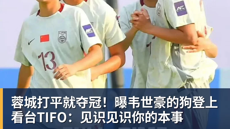 好博体育蓉城打平就夺冠!曝韦世豪的狗登上看台TIFO:见识见识你的本事
